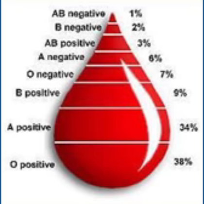 Wieviel Prozent haben Deine Blutgruppe?